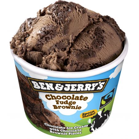 Ben & Jerry's Chocolat Fudge Brownie 12x 100 ml