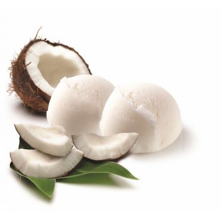 PAGOTINI Sorbet Coco 2x 2.5L