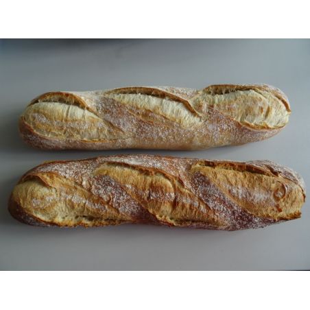 CROUSTICO PAIN DE BUCHERON 11x 650g - C160
