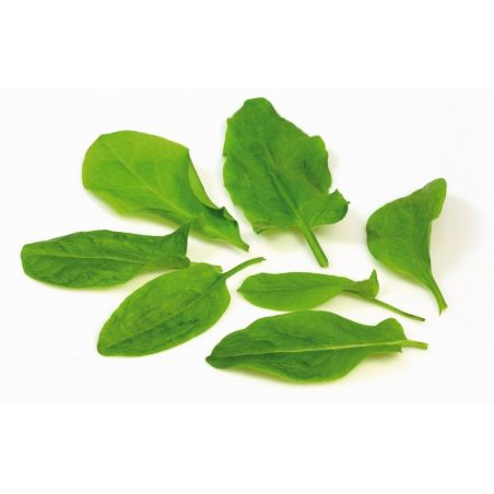DAREGAL OSEILLE 250gr