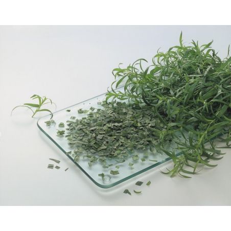 DAREGAL ESTRAGON 250gr