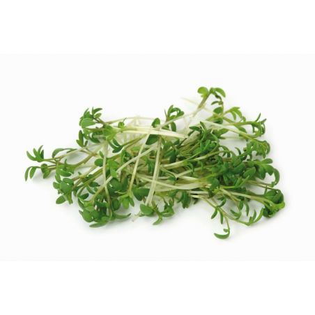 DAREGAL CRESSON DE FONTAINE 250gr