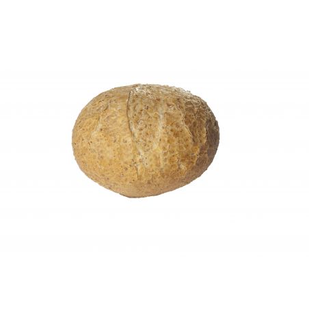 DIVERSI-FOODS  Pistolet Jumbo Gris 50x 90 gr