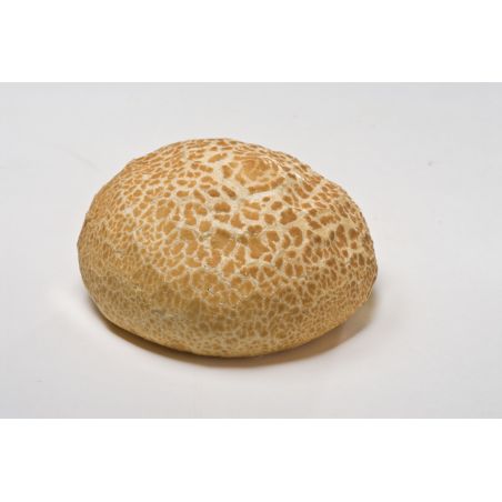 DIVERSI-FOODS Pistolet Tigre 60x 80 gr