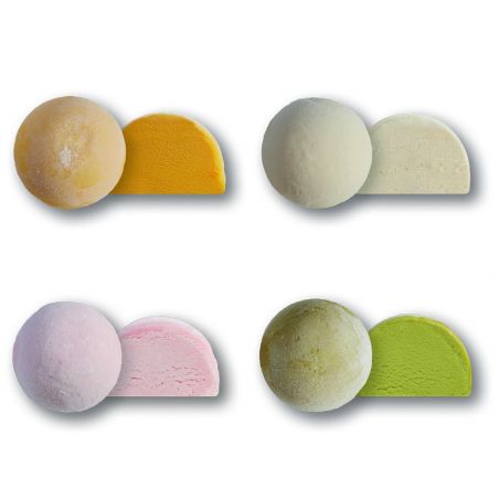 ERHARD Mochis - Mix Pack Exotic 8x 35g