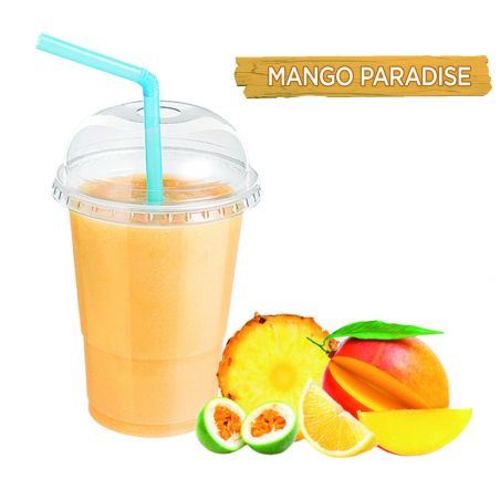 COOL SMOOTHIES Mango Paradise 6 Smoothie 15x 150gr