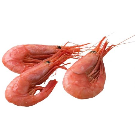 Pandalus Borealis 90/120