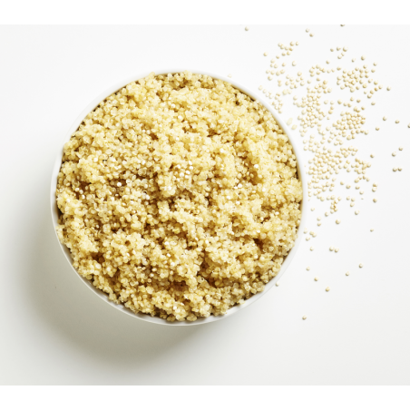 QUINOA PRECUIT
