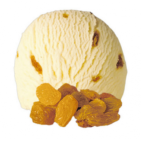 Cadi Ice Rhum Raisin 5 L