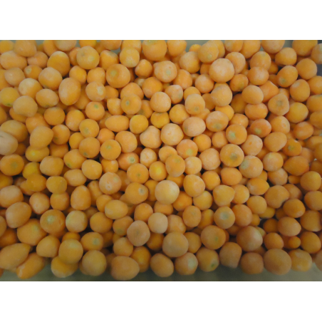 PASFROST CAROTTES PARISIENNES 18-24