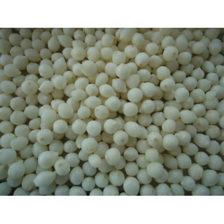 PASFROST OIGNONS PERLES 18/21