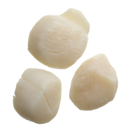 SEABOY Noix de Saint Jacques 10/20 Sans Corail