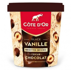 Côte D'Or PINT Vanille / Noisettes Entières 480ml
