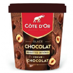 Côte D'Or PINT Chocolat / Noisettes Entières 480ml