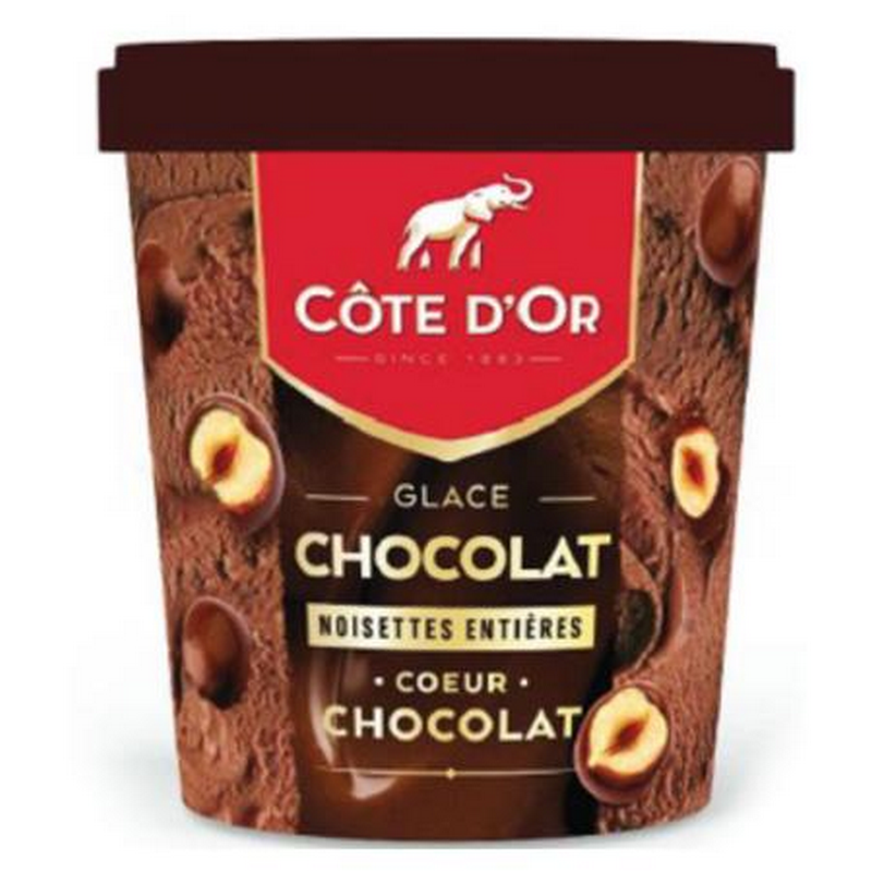 Côte D'Or PINT Chocolat / Noisettes Entières 480ml