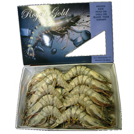 SEABOY Gambas 16/20 HOSO SWP B/T EC