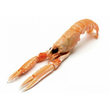 TRADIMER Langoustines 17/20 IQF 75% Poids net