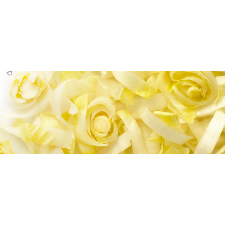 ARDO Chicon Hachés 10mm 10kg (endives)