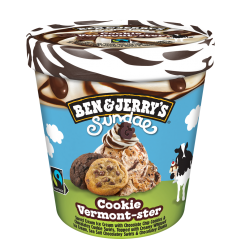 Ben & Jerry's Sundae Cookie Vermont-ster  467ml