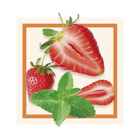 GLACES DES ALPES SORBET FRAISE A LA MENTHE DOUCE 2