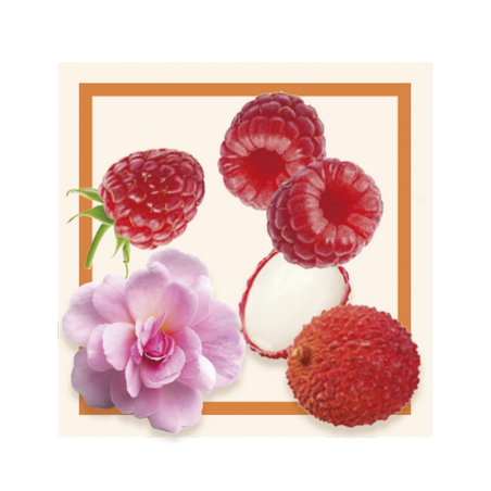 GLACES DES ALPES SORBET FRAMBOISE-LITCHI-EAU DE ROSE 2