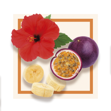 GLACES DES ALPES SORBET HIBISCUS/PASSION/BANANE 2