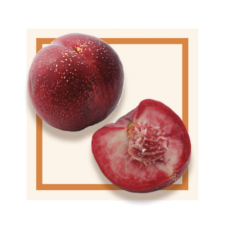 GLACES DES ALPES SORBET PECHE DE VIGNE 2