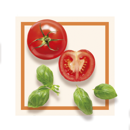 GLACES DES ALPES SORBET TOMATE/BASILIC 2