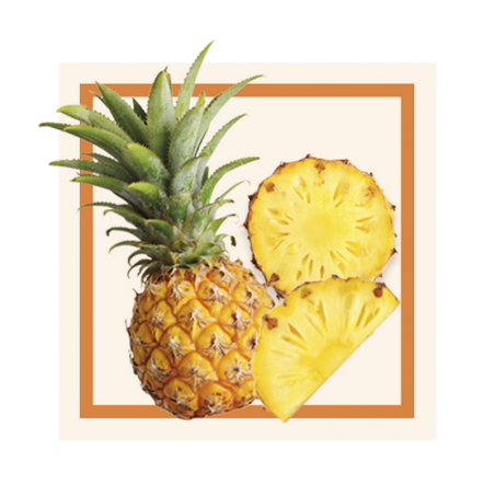 GLACES DES ALPES SORBET ANANAS 2
