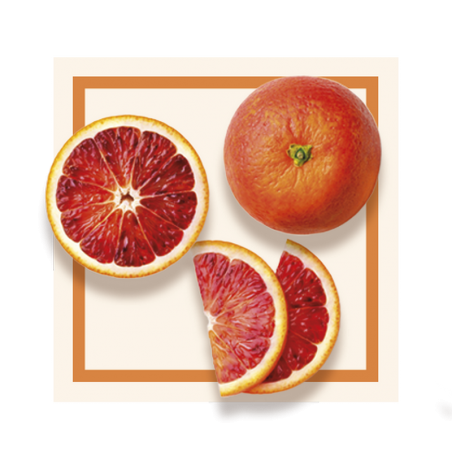 GLACES DES ALPES SORBET ORANGE SANGUINE 2