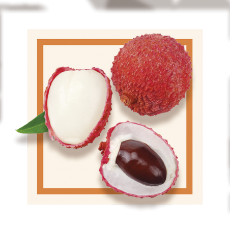 GLACES DES ALPES SORBET LITCHI 2