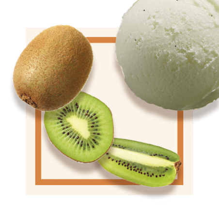 GLACES DES ALPES SORBET KIWI 2