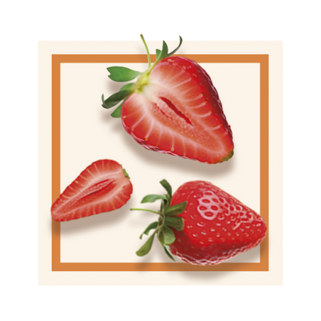 GLACES DES ALPES SORBET FRAISE 2