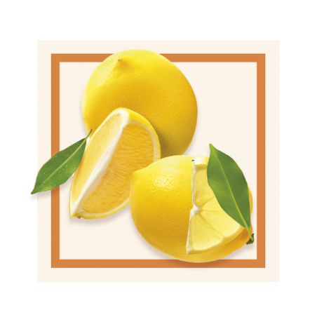 GLACES DES ALPES SORBET CITRON JAUNE 2