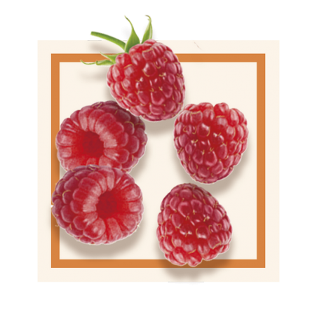 GLACES DES ALPES SORBET FRAMBOISE 2
