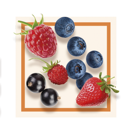 GLACES DES ALPES SORBET FRUITS ROUGES 2