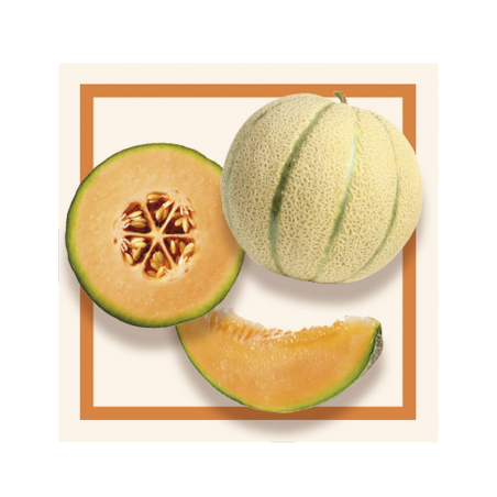 GLACES DES ALPES SORBET MELON 2