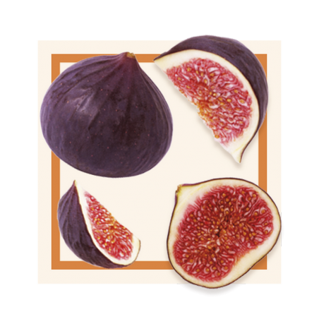 GLACES DES ALPES SORBET FIGUES VIOLETTES 2