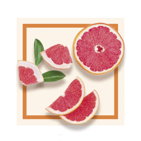 GLACES DES ALPES SORBET PAMPLEM.ROSE 2