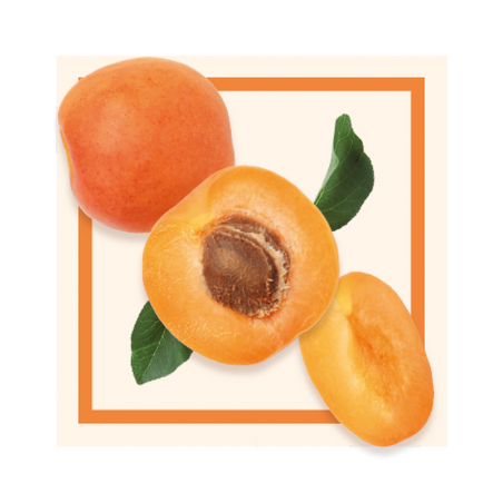 GLACES DES ALPES SORBET ABRICOT 2