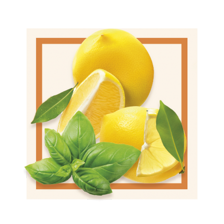 GLACES DES ALPES SORBET CITRON BASILIC 2