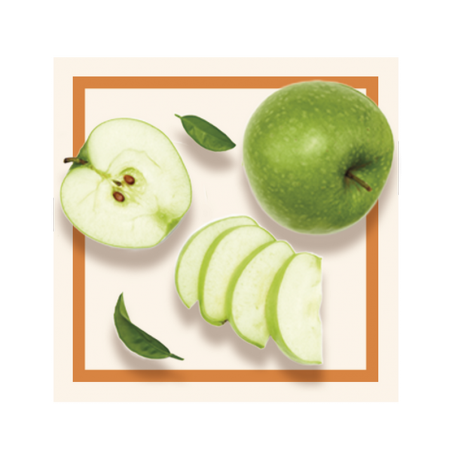 GLACES DES ALPES SORBET POMME VERTE 2