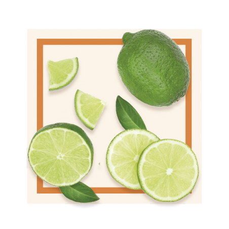 GLACES DES ALPES SORBET CITRON VERT 2