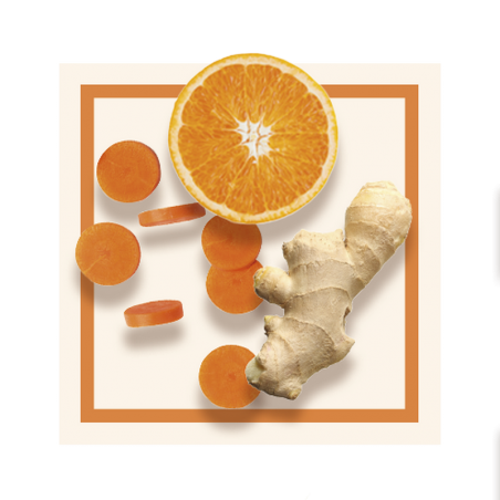 GLACES DES ALPES SORBET CAROTTE/ORANGE/GINGEMBRE 2