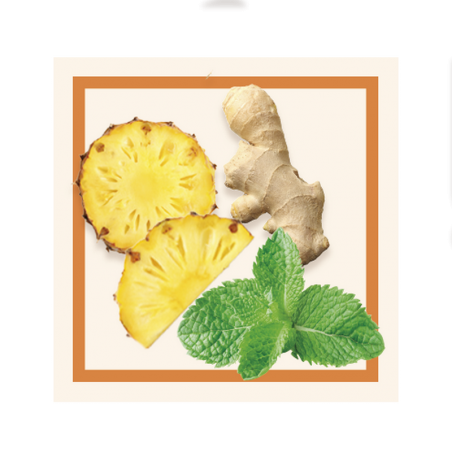 GLACES DES ALPES SORBET ANANAS MENTHE GINGEMBRE 2