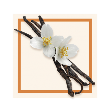 GLACES DES ALPES VANILLE BOURBON 2