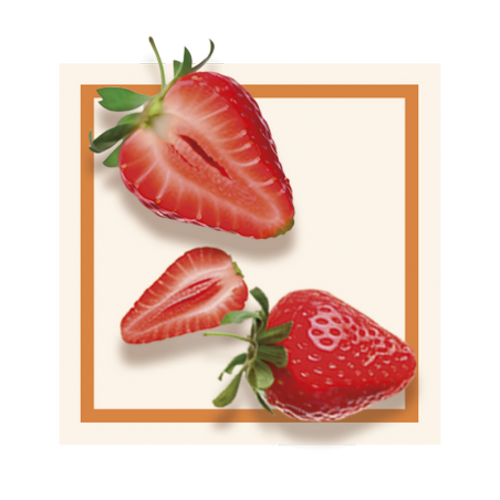 GLACES DES ALPES FRAISE CREME GLACE 2