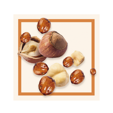 GLACES DES ALPES NOISETTE AUX ÉCLATS CARAMÉLISÉS 2