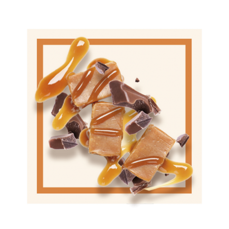 GLACES DES ALPES CARAMEL CHOCOLAT 2.5L