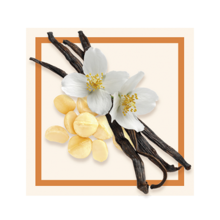 GLACES DES ALPES VANILLE MACADAMIA 2